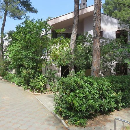 Soline Beach Apartments Биоград-на-Мору Экстерьер фото